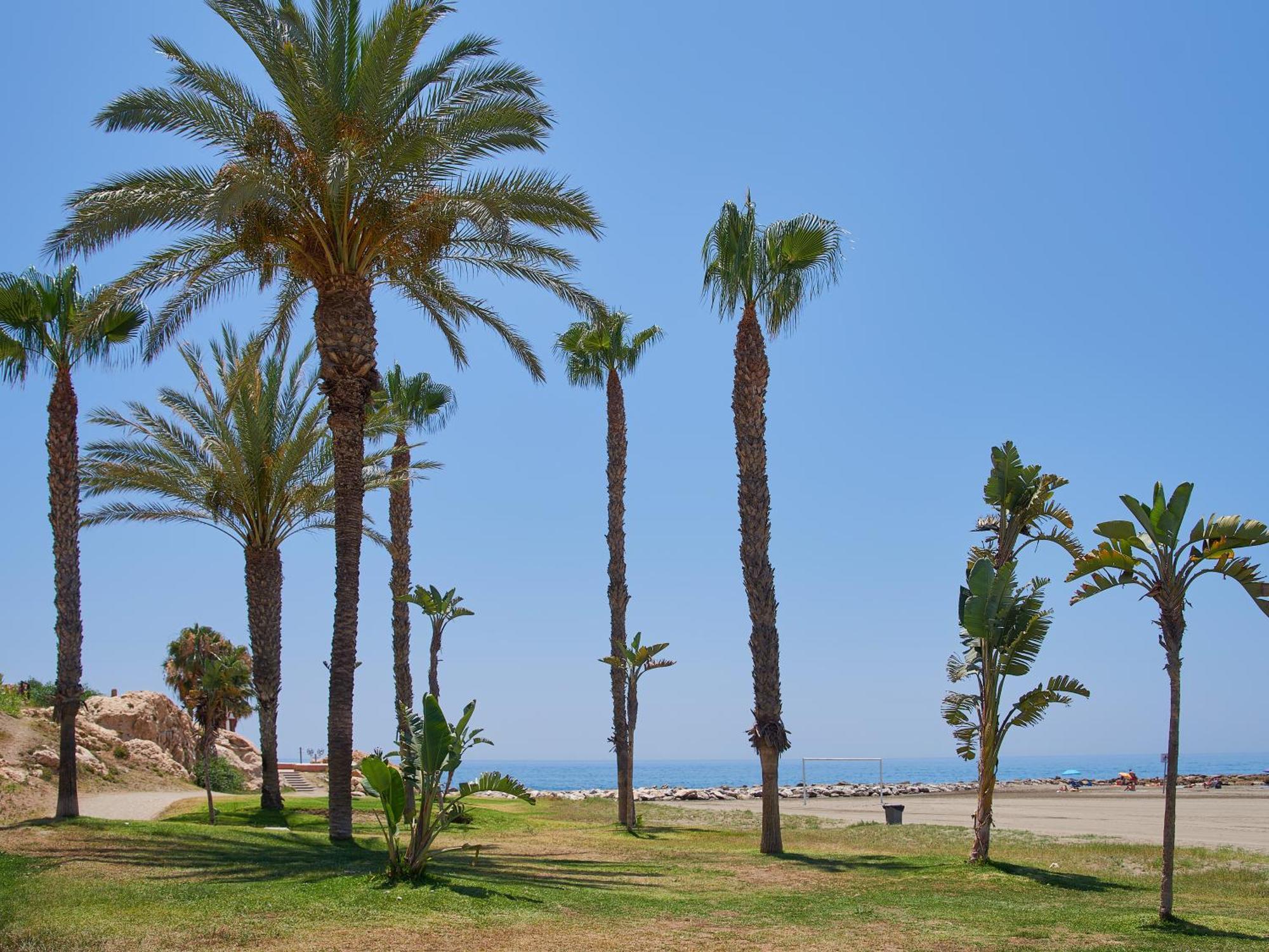 Lovely Studio With Seaview 700M From The Beach La Cala Del Moral Ngoại thất bức ảnh